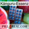 Känguru-Essenz viagra2